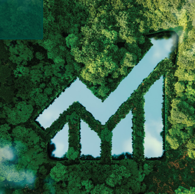 Sustainable Finance Roadmap